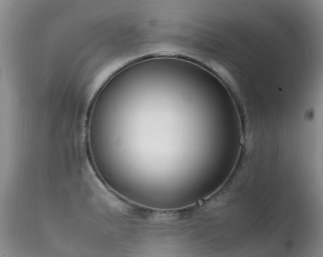 X0000112111183200908111434