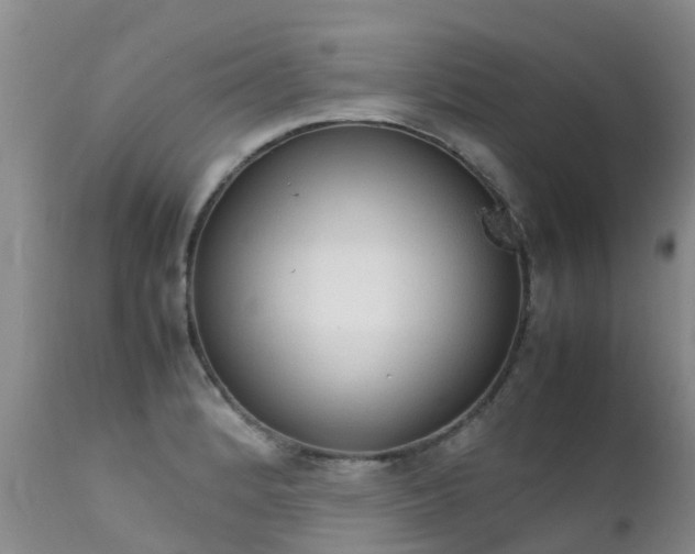 X0000112111184200908111434