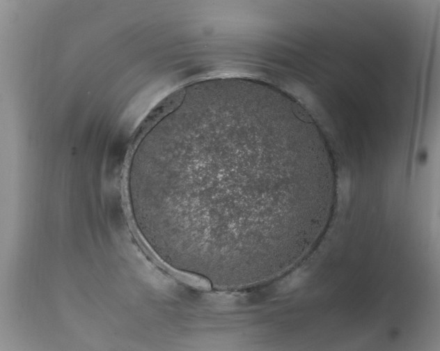 X0000112111185200908111434