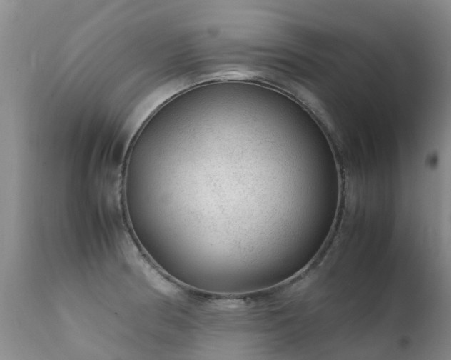 X0000112111186200908111434