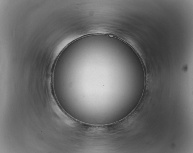 X0000112111187200908111434