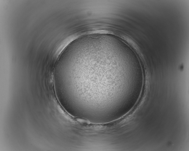 X0000112111193200908111434