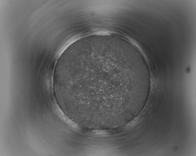 X0000112111194200908111434