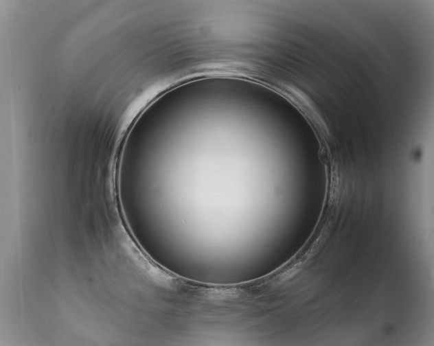 X0000112111196200908111434