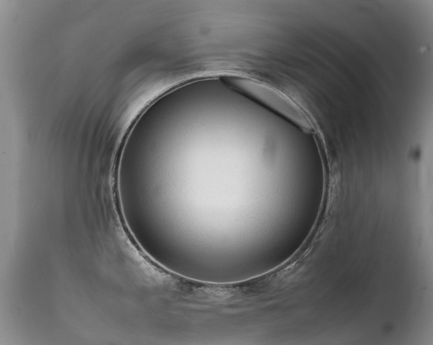 X0000112111197200908111434