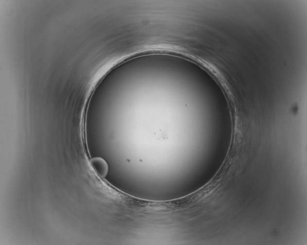 X0000112111199200908111434