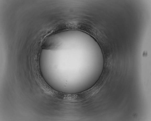 X0000112111201200908111434