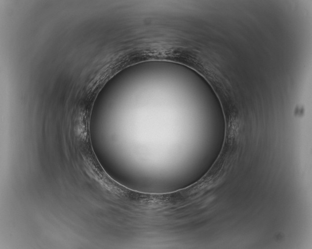 X0000112111202200908111434