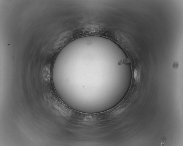 X0000112111203200908111434