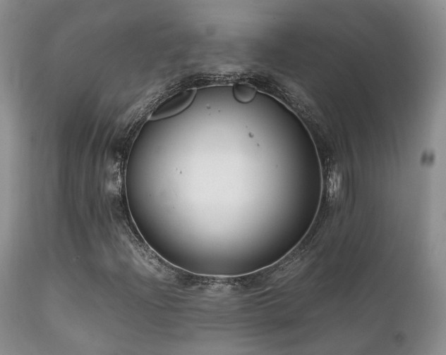 X0000112111204200908111434