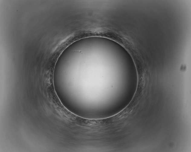 X0000112111205200908111434