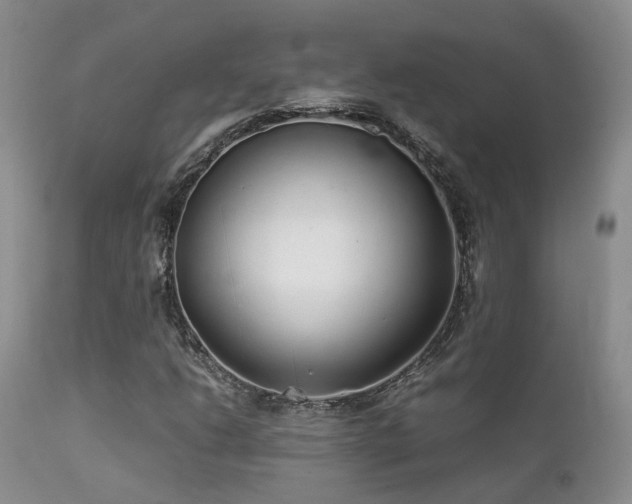 X0000112111206200908111434