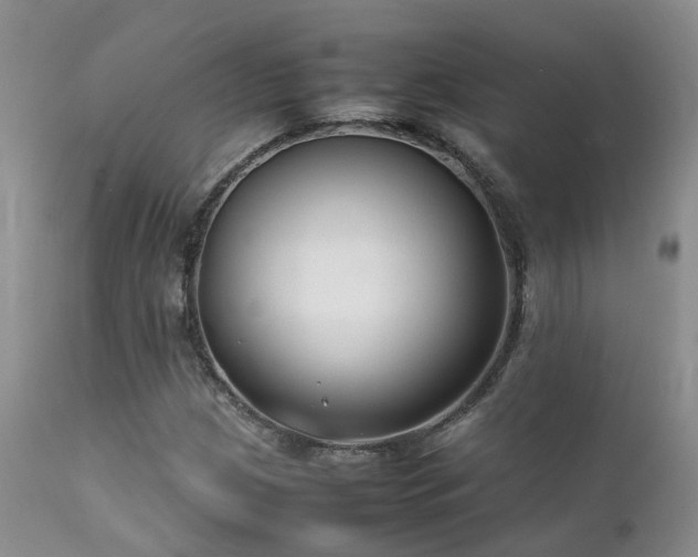 X0000112111209200908111434