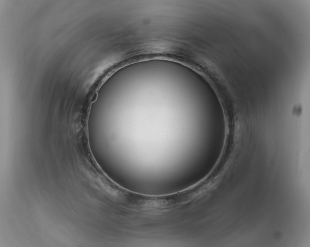 X0000112111210200908111434