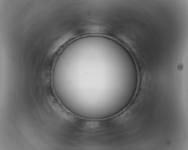 X0000112111211200908111434