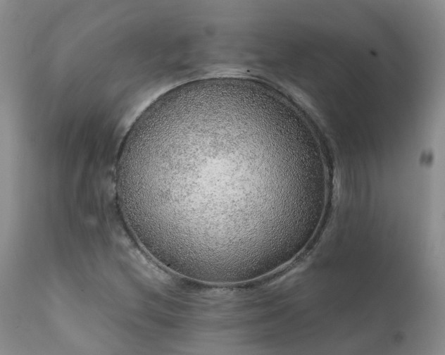 X0000112111212200908111434