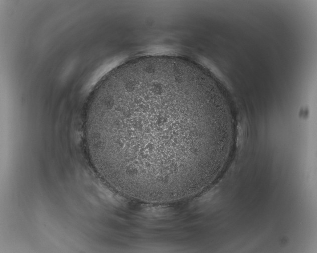 X0000112111213200908111434