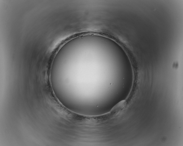 X0000112111214200908111434