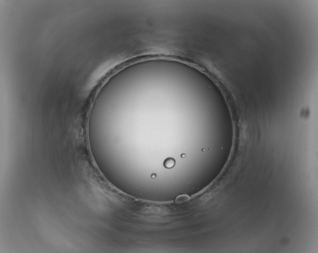 X0000112111215200908111434