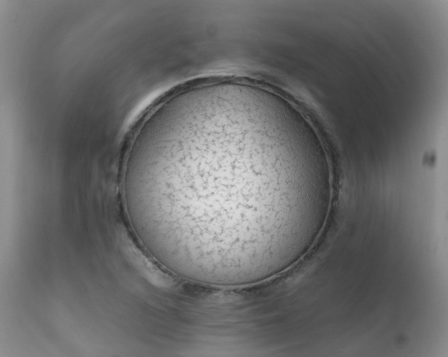 X0000112111216200908111434