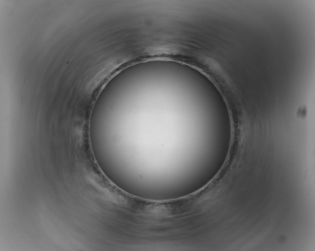 X0000112111217200908111434