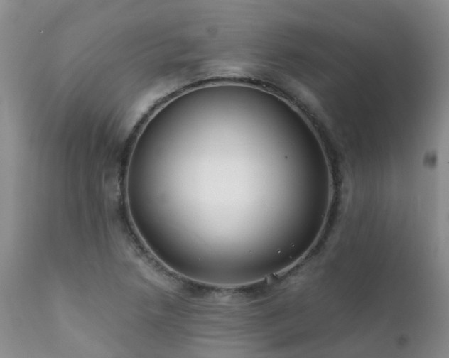 X0000112111218200908111434