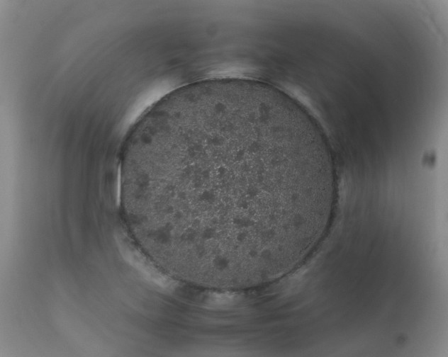 X0000112111219200908111434