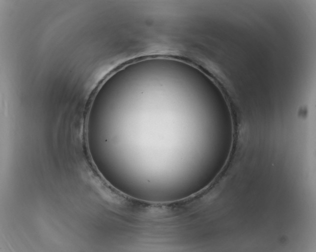 X0000112111220200908111434