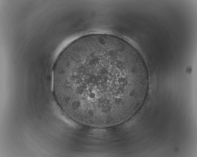 X0000112111223200908111434