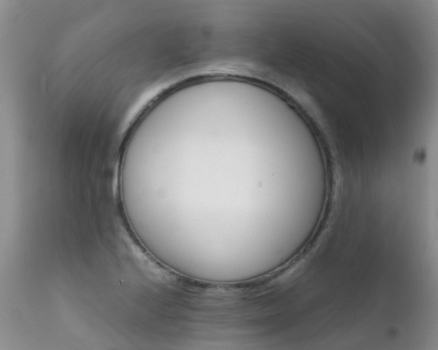 X0000112111224200908111434