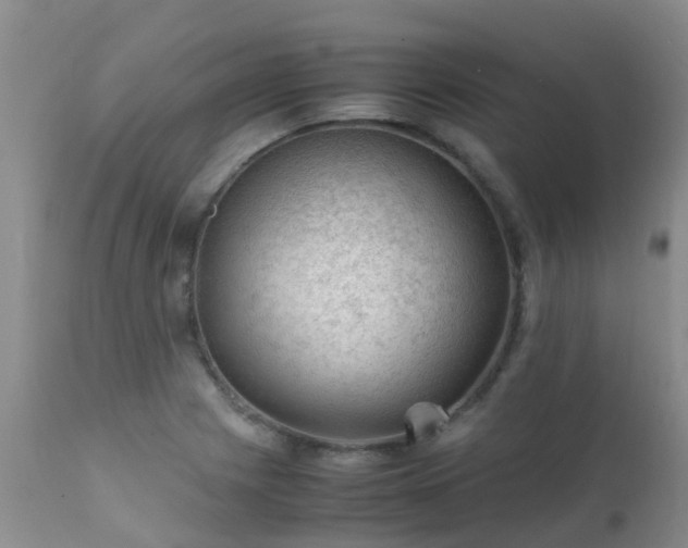 X0000112111225200908111434