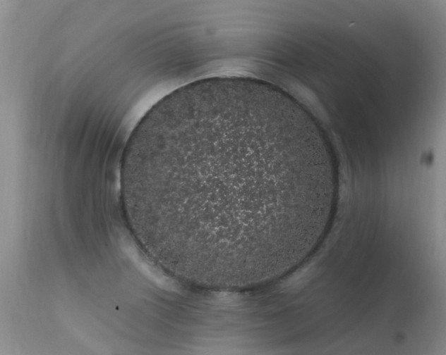 X0000112111226200908111434