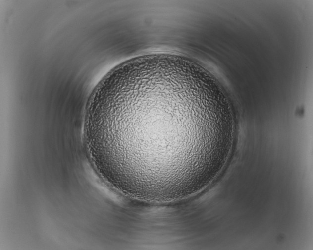 X0000112111228200908111434