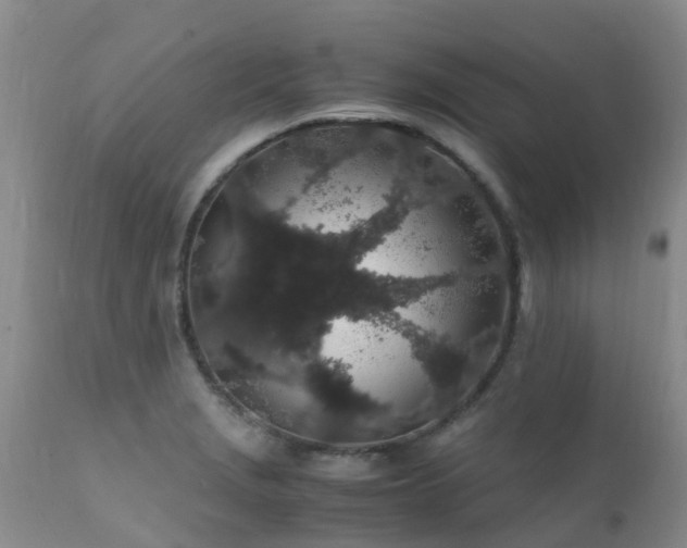 X0000112111229200908111434