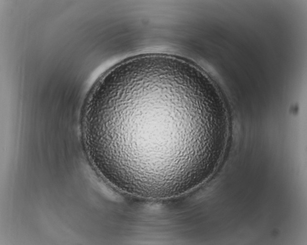 X0000112111230200908111434