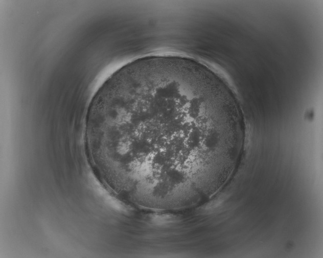 X0000112111231200908111434