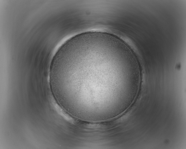 X0000112111232200908111434