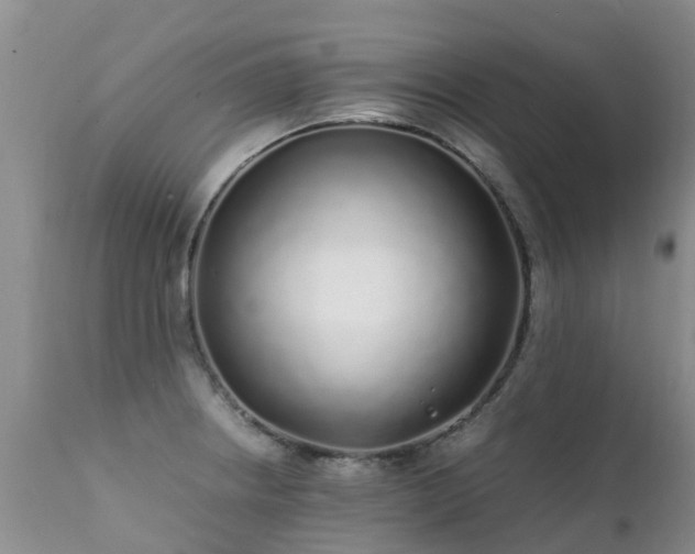 X0000112111234200908111434