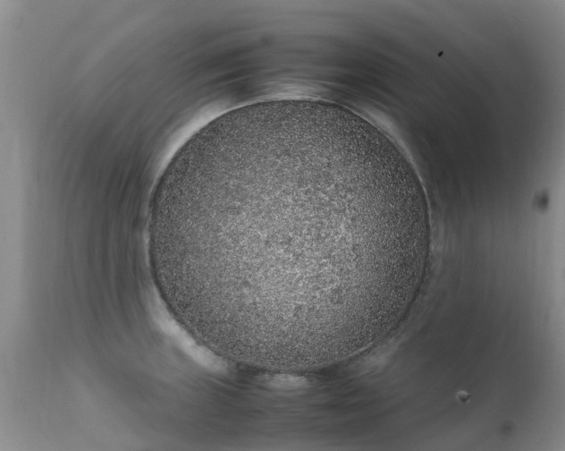 X0000112111235200908111434