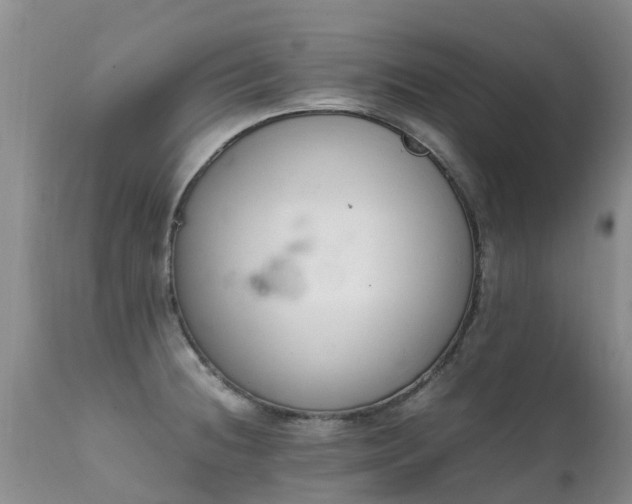 X0000112111236200908111434