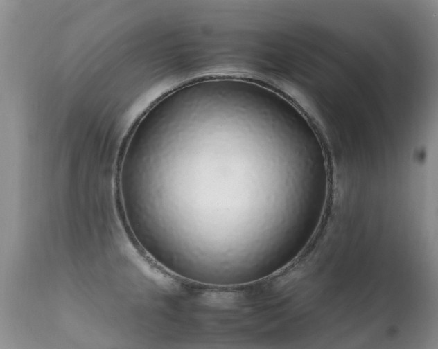 X0000112111237200908111434