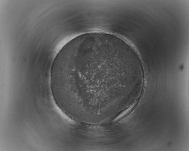 X0000112111239200908111434