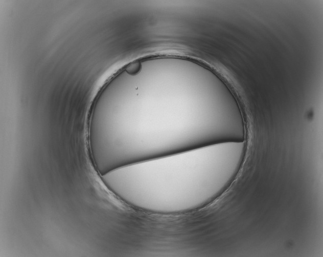 X0000112111240200908111434