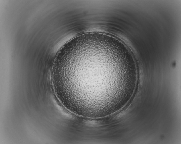 X0000112111241200908111434