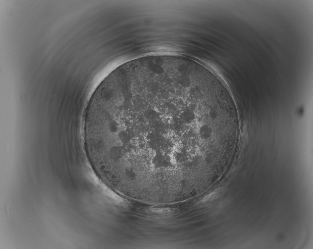 X0000112111243200908111434