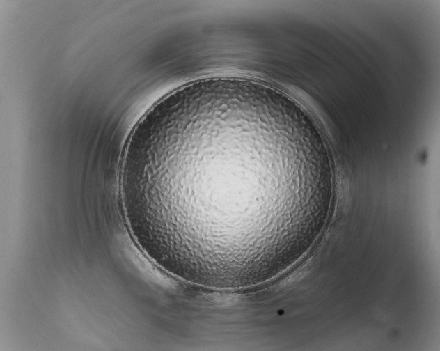 X0000112111244200908111434