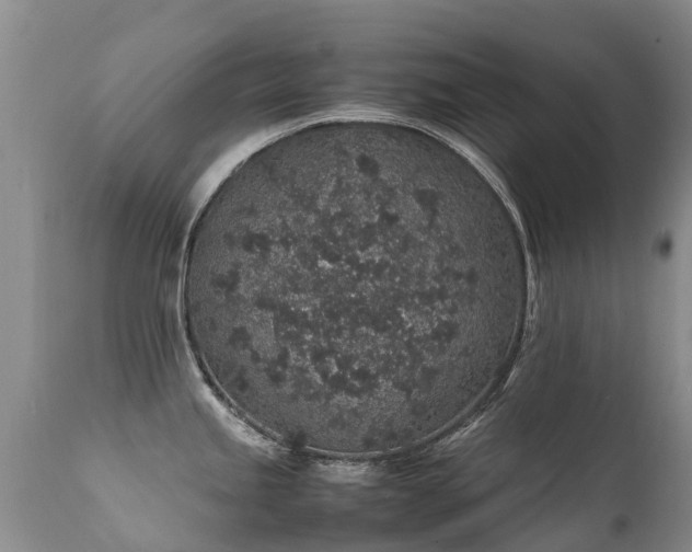 X0000112111245200908111434