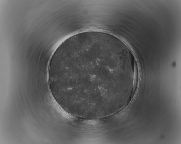 X0000112111246200908111434