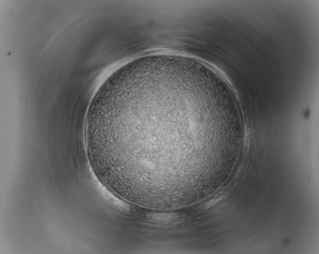 X0000112111247200908111434