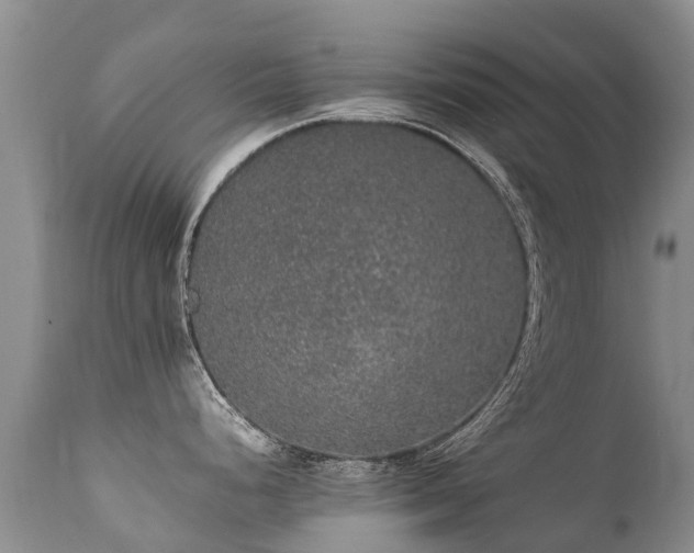 X0000112111248200908111434